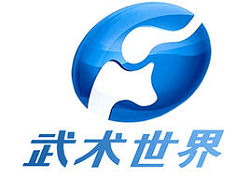 武术世界直播